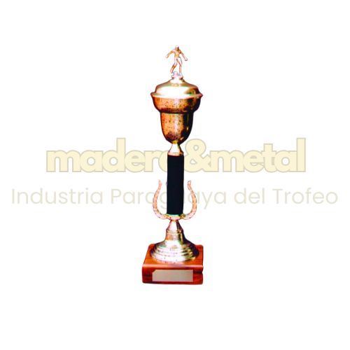 Imagen de Copa de metal con tapa - M5.2510